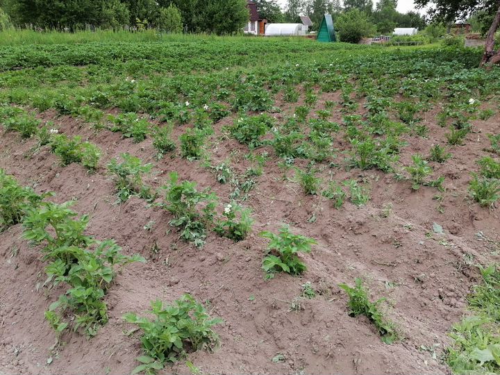 Дача 11 м² на участке 5,2 сот.