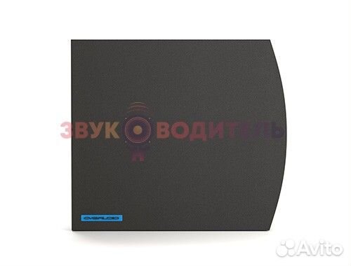 Сабвуфер настенный потолочный для кафе - cvgaudio