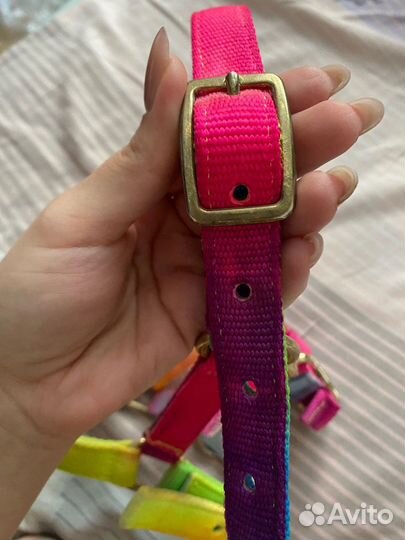 Недоуздок для пони tattini