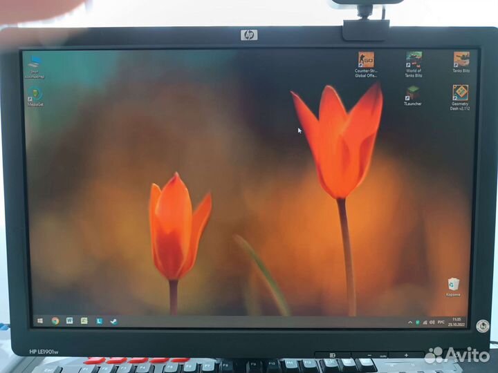 Монитор HP LE1901w