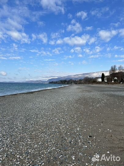 Отдых в Абхазии Сухум