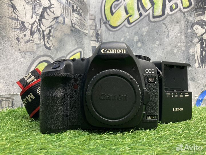 Canon EOS 5D Mark II (34.400 кадров)