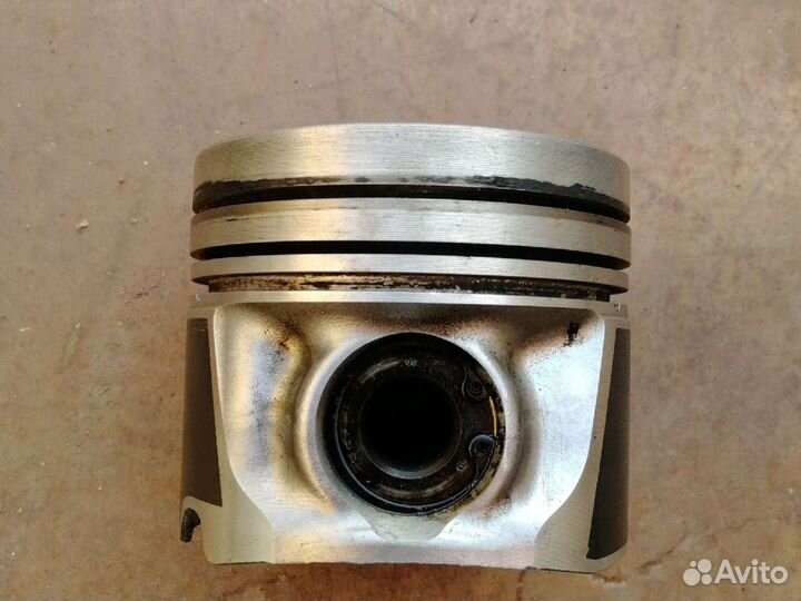 Поршни Nissan navara