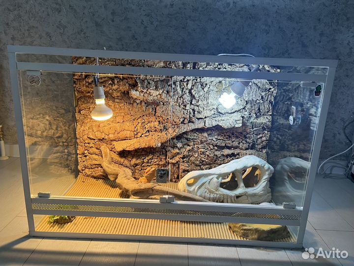 Террариум для рептилий
