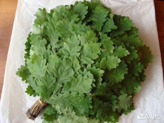 Банные веники,береза, дуб