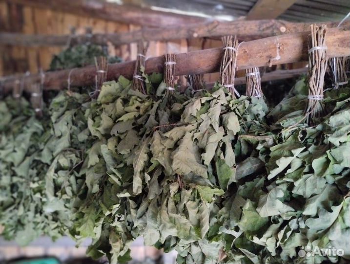 Веники дубовые и берёзовые