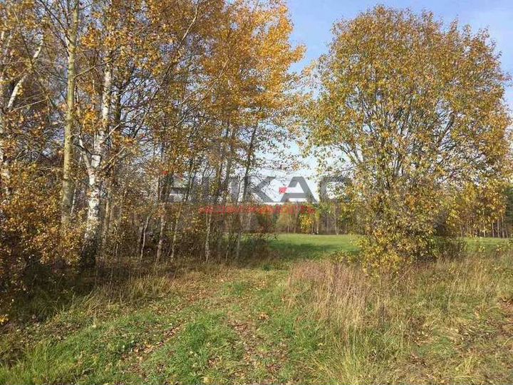 Участок 2,5 га (личное подсобное хозяйство (лпх))