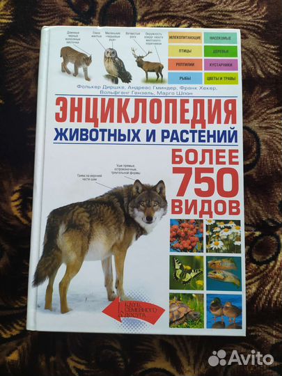 Энциклопедия