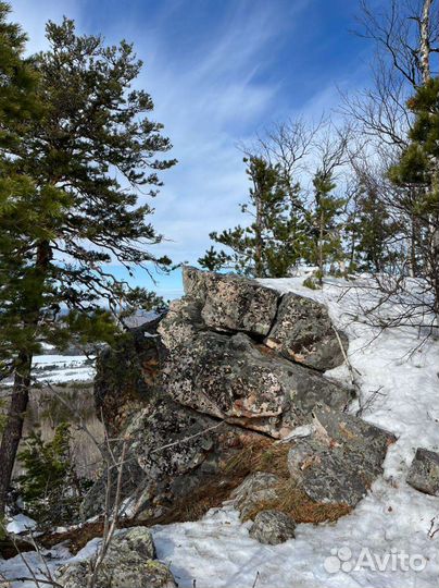 Конные прогулки