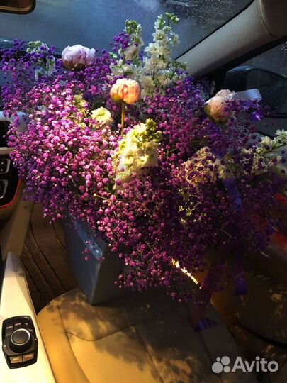 Гипсофила цветы с достакой