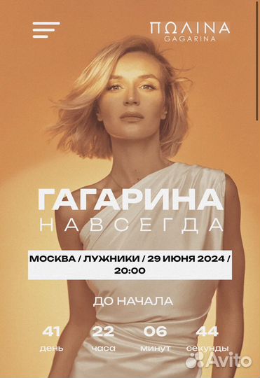 Два билета на концерт Полины Гагариной, Фан-зона