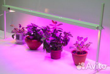 Светодиодная Фито-лампа для рассады Led-30