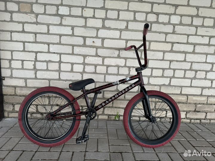 Bmx grasshopper