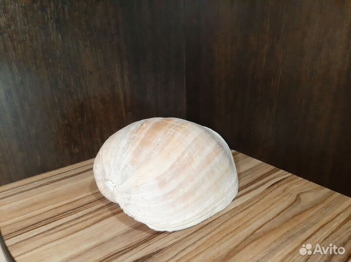 Грот для аквариума