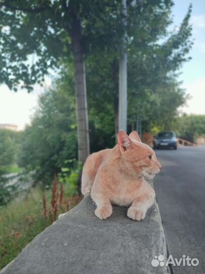 Отдавать, чтобы дарить счастье