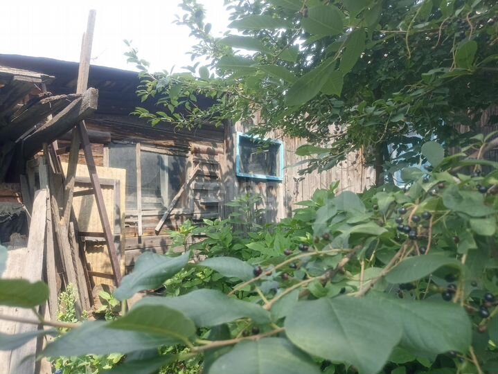 Дом 31,9 м² на участке 14,3 сот.