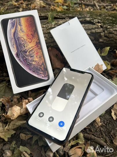 iPhone Xs Max, 256 ГБ