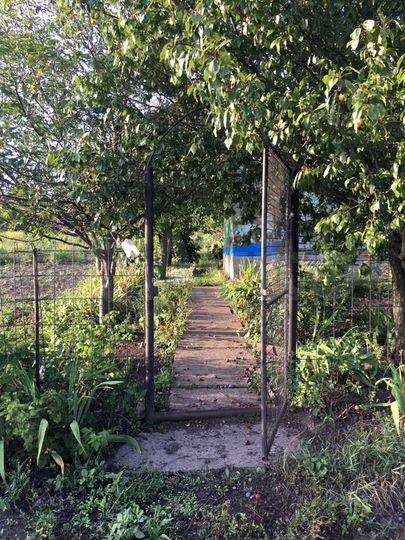 Участок 10 сот. (СНТ, ДНП)