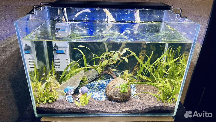 Аквариум