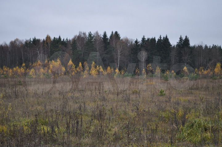 Участок 100 сот. (ИЖС)