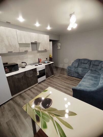 1-к. квартира, 35,3 м², 7/17 эт.