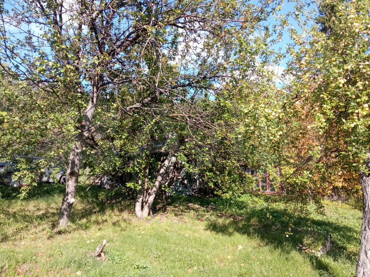 Участок 6 сот. (СНТ, ДНП)