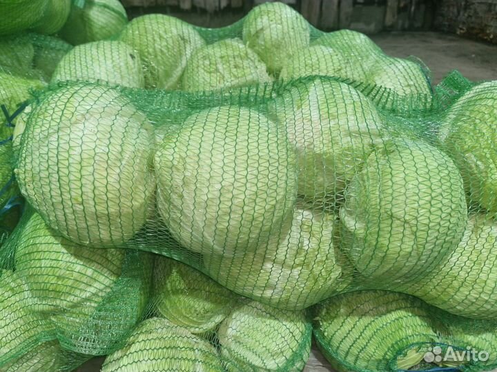 Продам овощи