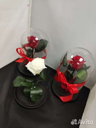 Роза в колбе