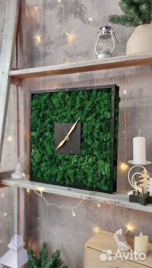 Часы со живым мхом