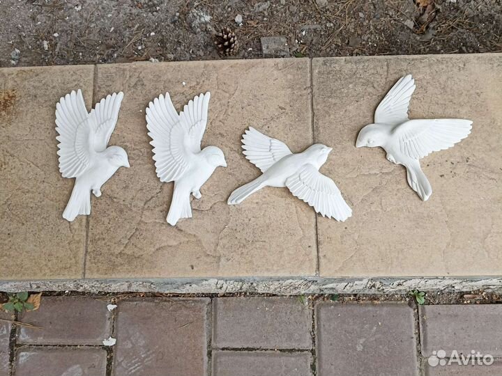 Голуби 4 штуки