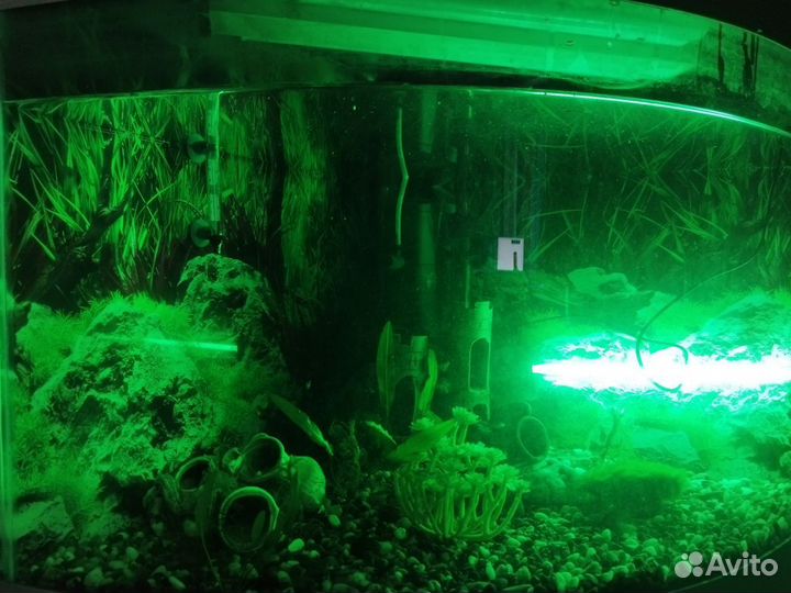 Аквариум