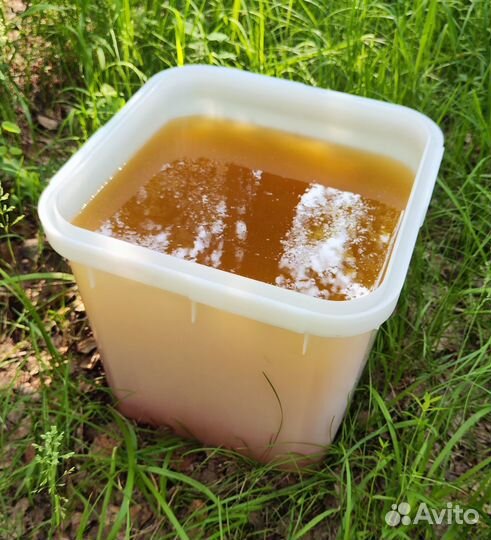 Акациевый мед 2024 года только опт от 16кг