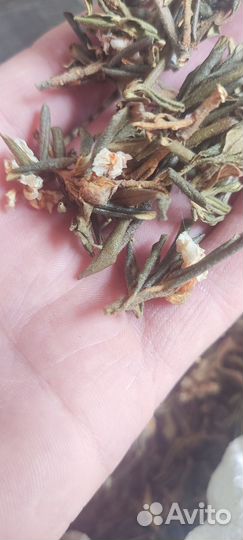 Саган дайля, саган дали