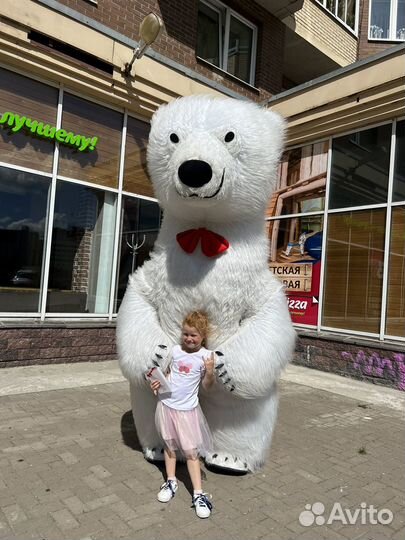 Поздравление от белого медведя