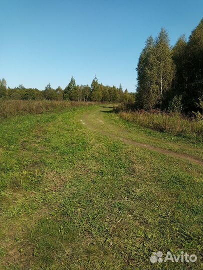 Приму бой кирпича и бетона