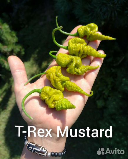 Семена острых перцев