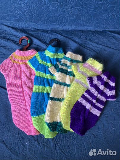 Одежда для собак