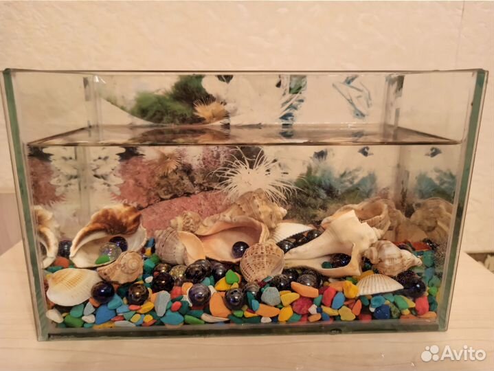 Аквариум 4,3л+галька,шары, ракушки