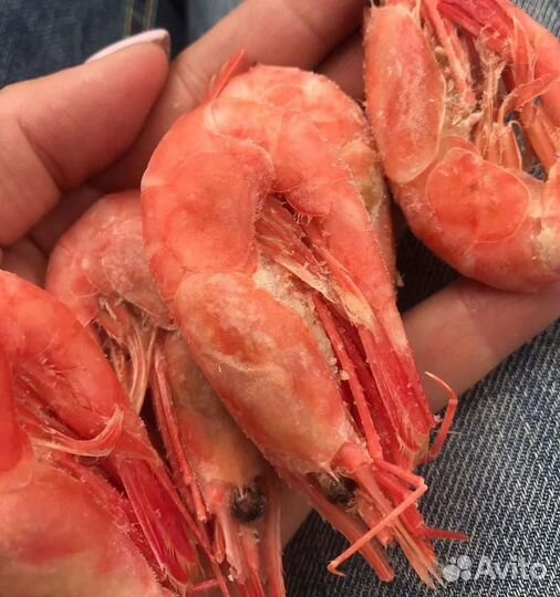 Лангустины без головы