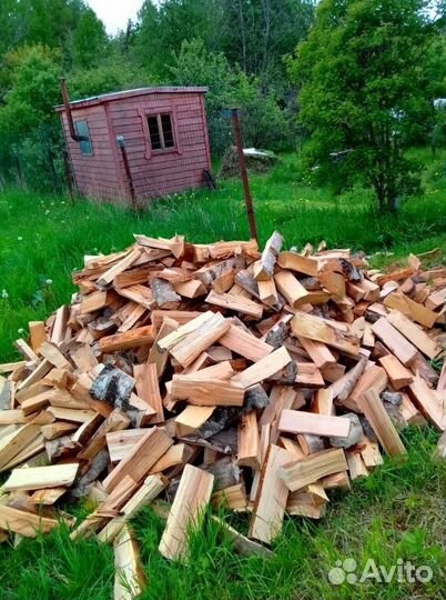 Дрова любые сухие в укладку качественные