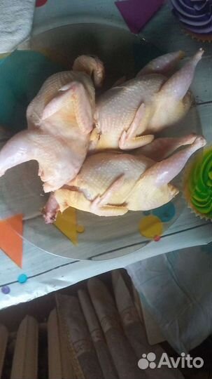 Мясо перепела