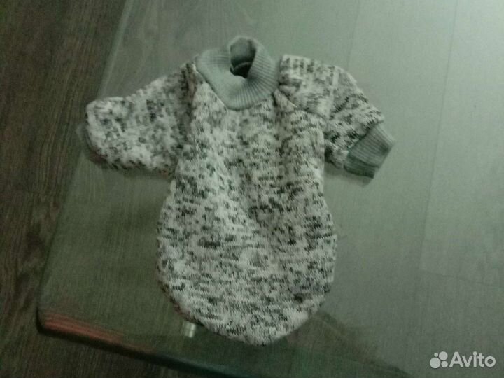 Одежда для мелких собак