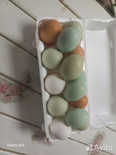 Домашние куриные яйца