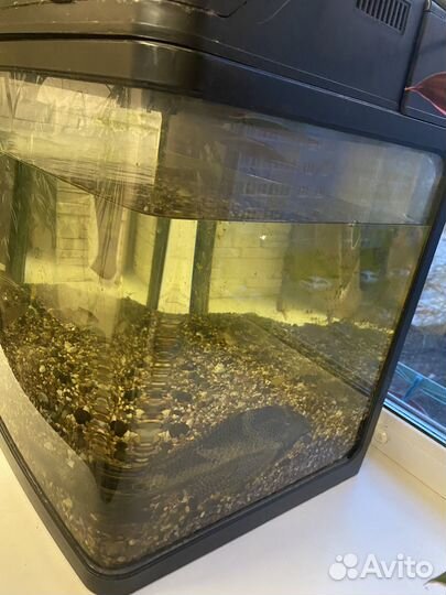 Аквариум