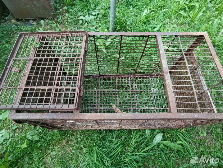 Железная клетка для нутрий