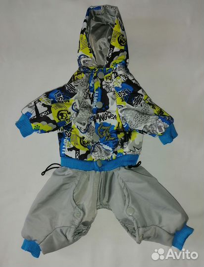 Костюм для маленькой собаки