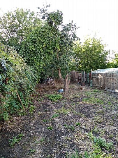 Участок 2 сот. (ИЖС)