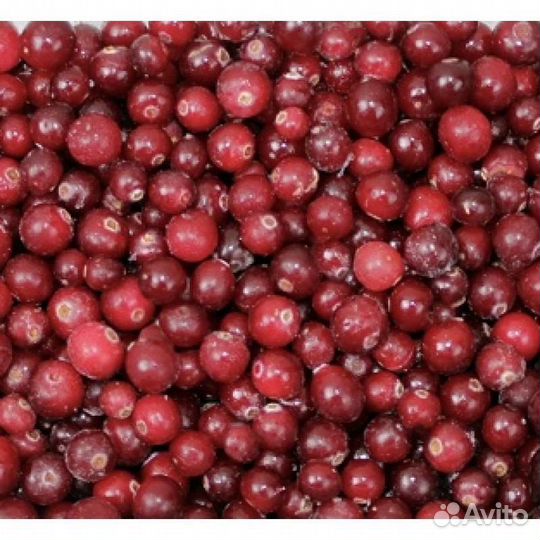 Клюква свежая