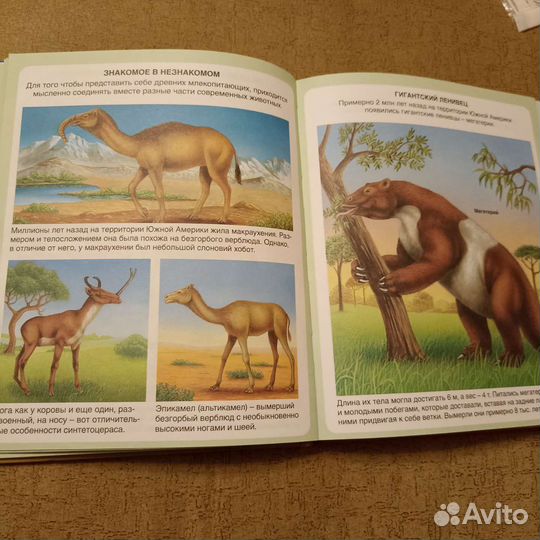 Энциклопедия для детей