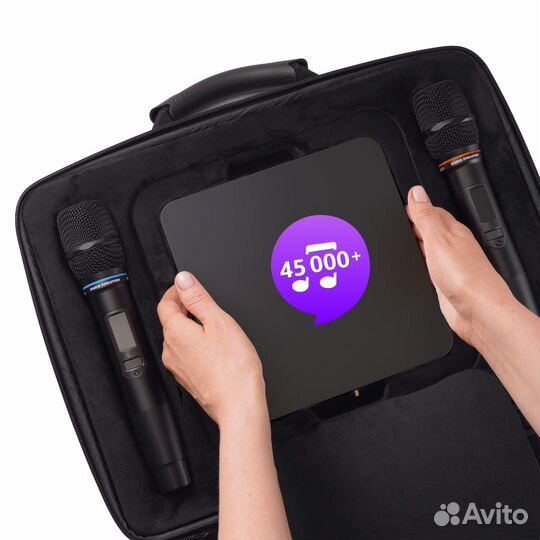 Караоке EvoBox Plus с микрофонами и EvoCase(Новая)